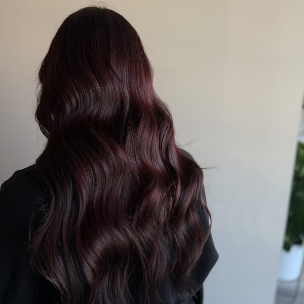 Burgundy Multi-Color