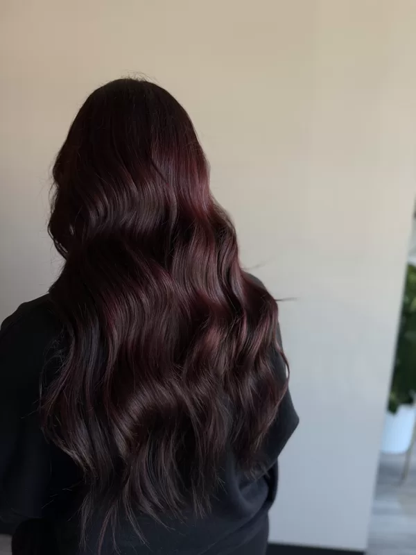 Burgundy Multi-Color